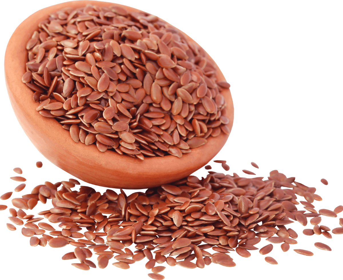 FlaxSeed